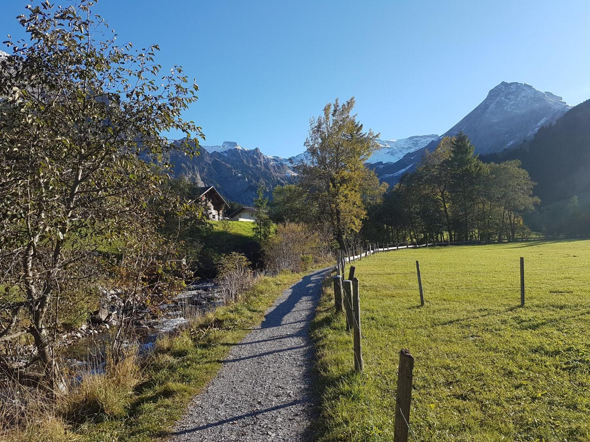 Bnb Fellacher Adelboden Exterior photo